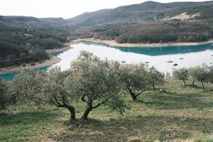 Maisons d'hotes Maison Morin : photos des chambres