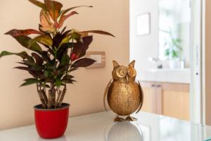 Snob Luxury Suite img87