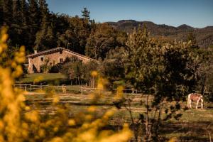 La Paradella - Apartamento de uso turístico