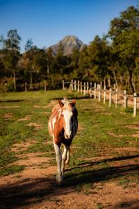 La Paradella - Apartamento de uso turístico