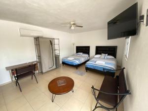 Apartamentos Amplios Alfa # 238