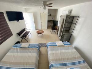 Apartamentos Amplios Alfa # 238