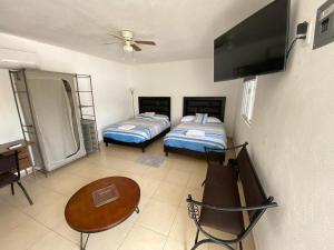 Apartamentos Amplios Alfa # 238