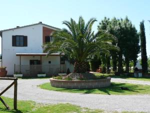 Trilocale in MAREMMA