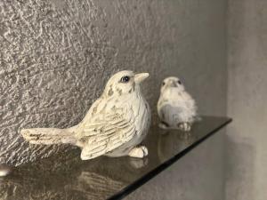 Heart of Palermo: Pool, sauna & stunning view