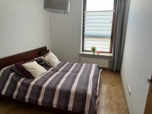 Apartament nad Wartą w Poznaniu w centrum
