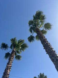 Agriresort Villa Bentivoglio