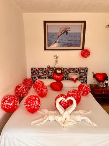 Stefanys Lodging