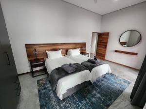 Bald Ibis (856 Highland Gate)