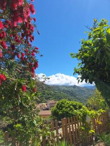 Casa di Pilou - Maison et jardin près de la mer - Corbara