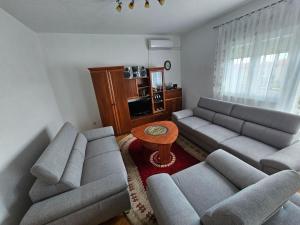 Apartment Sutic 