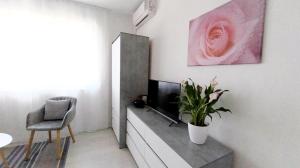 Studio M