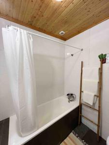 Casa do Cacto - 1 Bedroom Flat