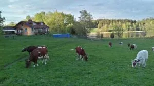 Beautiful and peaceful in earth house, 90 m2 - Bergshammar