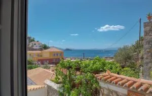 Blue Coral Hydra - Vlikhós