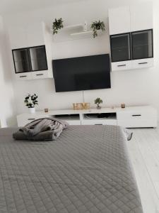 Studio White City Craiova
