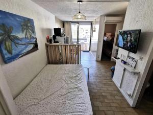 Résidence Les Arenes - STUDIO 4 PERSONNES 4 couchages PORT LEUCATE MAE-7051