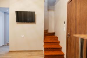 Amaryllis Maison Viziis