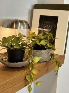 Apartamento a 100 metros de la playa Zurriola