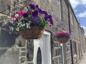 The Garden Flat