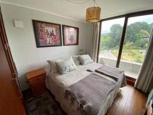 Dpto Pucon - Pinares 2D 2B