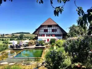 Mooshof Apartment - Rohrbach