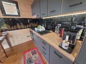 Cazare Cabana Pensiuni Vatra Dornei Bucovina cu Ciubar