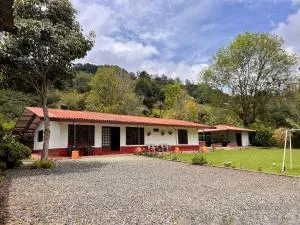 Paraiso Cocora - Leona