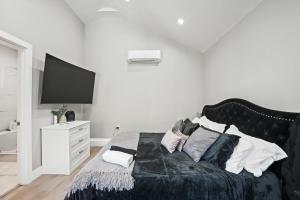 New Modern Cozy Guest House, Parking, Pet Friendly in Mar Vista!