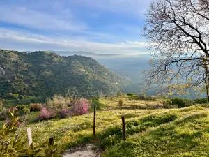 Mystic Mountain Retreat - Hoffman Point