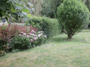 B&B / Chambres d'hotes La Parisienne des Amognes : photos des chambres