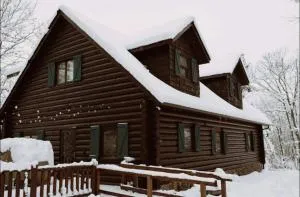 the log cabin - Isle
