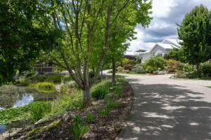 The Banks - Wooragee