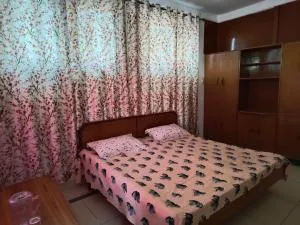 Suruwar Cottage - Bīr