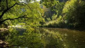 Appartements Spacieux 2 chambres 65m2 climatise au village medieval entre Nice et Antibes : photos des chambres