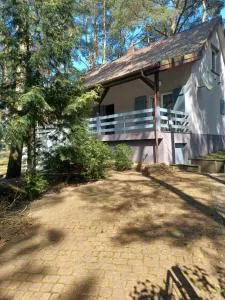 Domek pod Sosnami nad jeziorem Głuszyńskim - Jerzyce