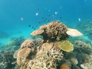 Cayo Coco - Island Glamping All-Inclusive