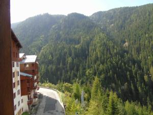 Appartements Charmant studio a Valfrejus, proche telecabine, commerces, balcon, 4 pers, animaux admis. - FR-1-561-10 : photos des chambres