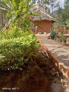 Irente Kinyonga Cottage