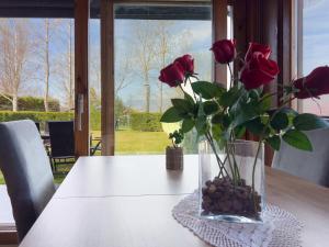 Bedoll Blanc Nuevo en alquiler