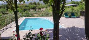 Roses Villa