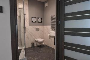 Apartament Góry Wałbrzyskie