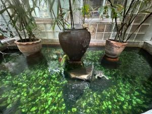 2 Bedroom Serviced Apartment near BTS Thonglo in Sukumvit Area