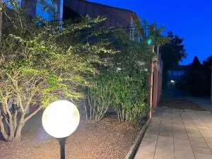 Le flamand rose - Saint-Victor