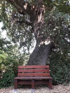 Casa sotto la Quercia