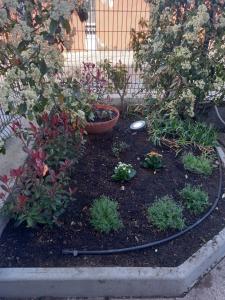 La Casa di Piccolì di Gabriele Martelli e Catia Pacetti - APPARTAMENTO