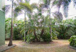 Chic Haven Studio in kingston