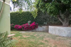 Chic Haven Studio in kingston