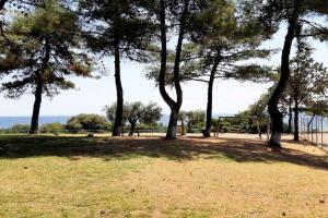 Trikorfo Beach Apartment, 150m from Sandy Beach