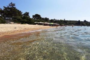 Trikorfo Beach Apartment, 150m from Sandy Beach